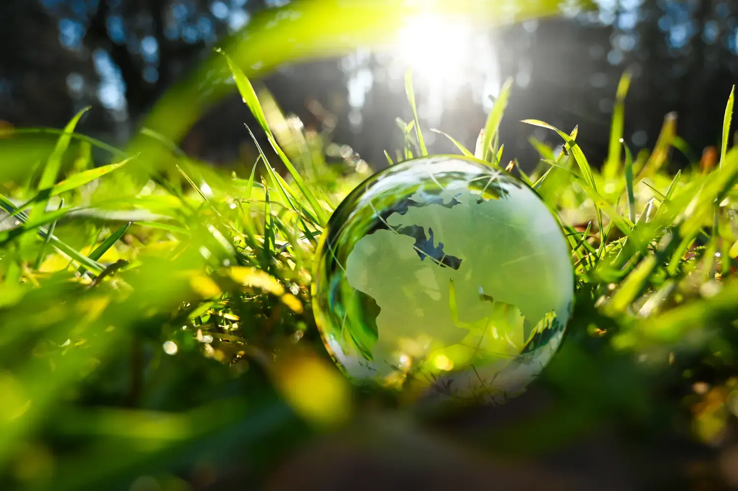 AMBULogic – Umwelt, Natur, grüne Glaskugel, Erdkugel, Europa, Asien und Afrika, Welt mit Gras und Morgensonne im Wald – nachhaltige Umwelt und Ökologie, Klimaerwärmung, Erde, Welt 2026.
